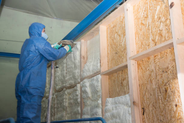 Best Insulation for New Construction  in Altamonte Springs, FL